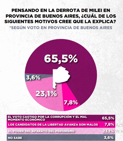 Encuesta: un 61,6% desaprueba el gobierno de Milei imagen-20