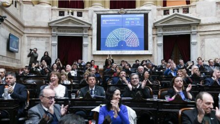 Congreso: la oposición intentará rechazar los vetos de Milei sobre el Garrahan y Universidades imagen-6