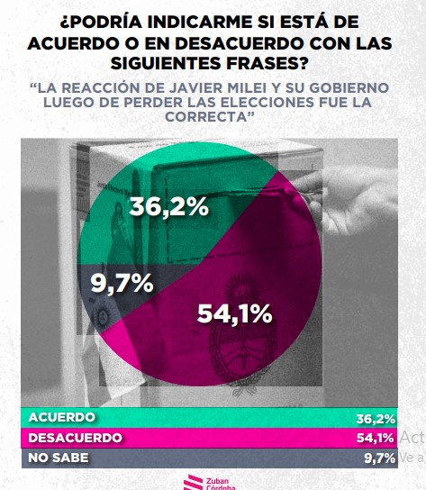 Encuesta: un 61,6% desaprueba el gobierno de Milei imagen-24