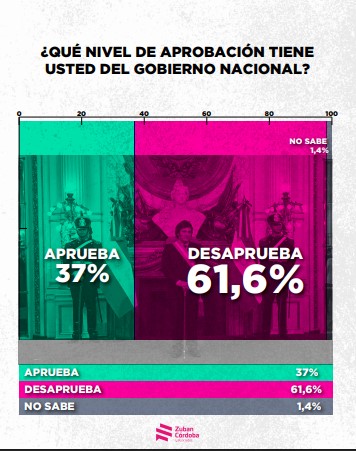 Encuesta: un 61,6% desaprueba el gobierno de Milei imagen-4