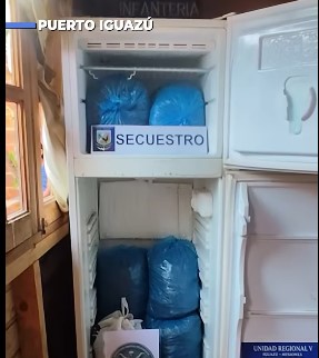 Operación "narcofreezer": una familia "dealer" fue capturada con droga refrigerada para la venta imagen-1