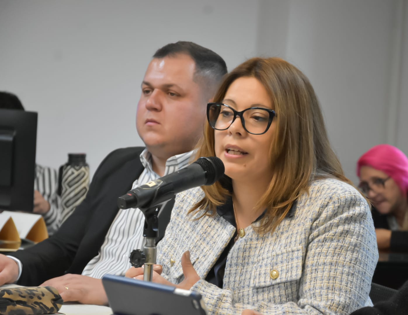 Legislatura: la Comisión de Presupuesto analizó nuevas áreas del proyecto del Presupuesto 2026 imagen-14