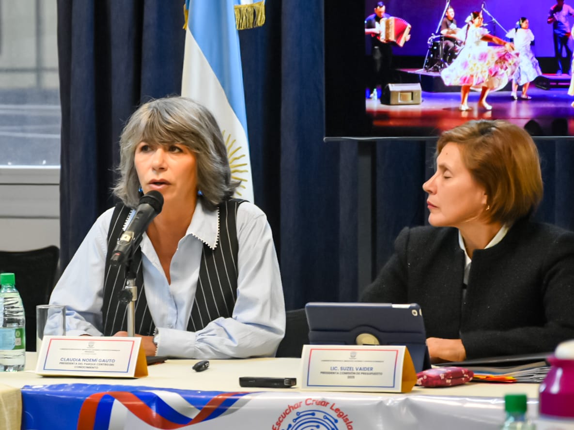 Legislatura: la Comisión de Presupuesto analizó nuevas áreas del proyecto del Presupuesto 2026 imagen-16