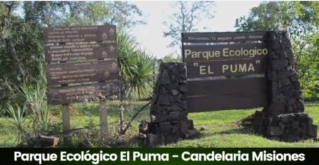 Centro de Rehabilitación El Puma ya devolvió a su hábitat a unos 50 animales silvestres recuperados imagen-6