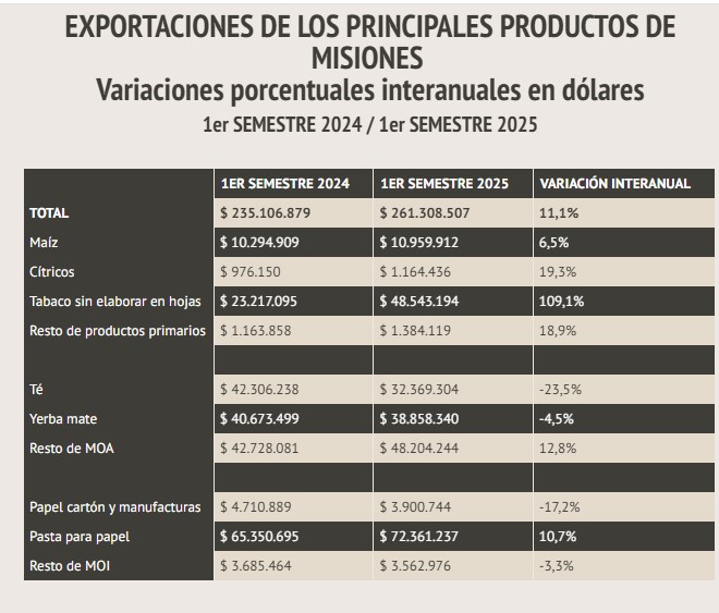 Las exportaciones totales de Misiones durante el primer semestre de 2025 ascendieron a USD 261.000.000 11 Las exportaciones totales de Misiones durante el primer semestre de 2025 ascendieron a USD 261.000.000 imagen-10