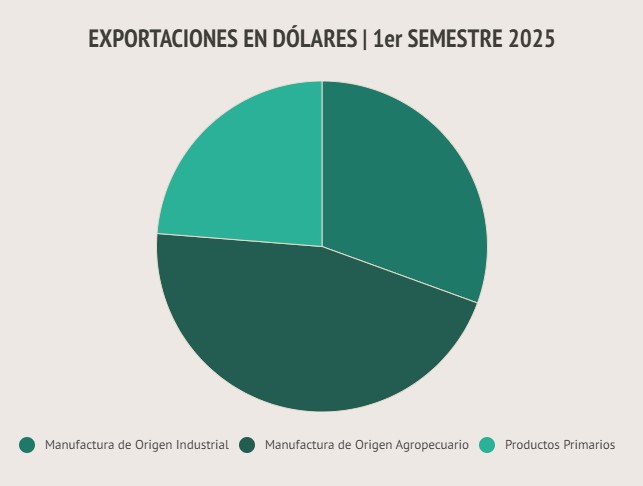 Las exportaciones totales de Misiones durante el primer semestre de 2025 ascendieron a USD 261.000.000 7 Las exportaciones totales de Misiones durante el primer semestre de 2025 ascendieron a USD 261.000.000 imagen-6