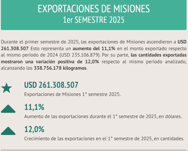 Las exportaciones totales de Misiones durante el primer semestre de 2025 ascendieron a USD 261.000.000 3 Las exportaciones totales de Misiones durante el primer semestre de 2025 ascendieron a USD 261.000.000 imagen-2
