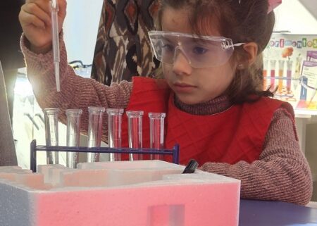 Desde este 1ro de octubre, Posadas recibe la Feria Nacional de Educación, Arte, Ciencia y Tecnología Desde este 1ro de octubre, Posadas recibe la Feria Nacional de Educación, Arte, Ciencia y Tecnología imagen-3