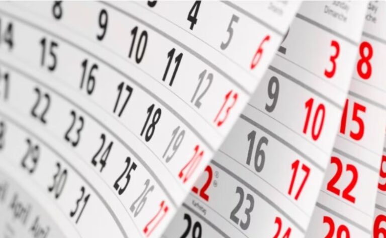 Milei adelantó un feriado y habrá fin de semana largo de cuatro días en noviembre imagen-8