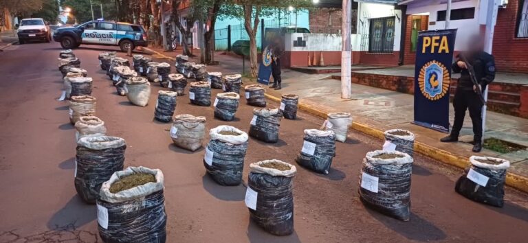 Eldorado: secuestran casi una tonelada de marihuana en la ribera del río Paraná imagen-18