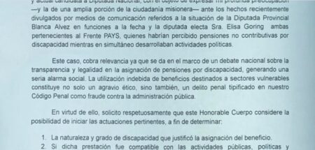 Micaela Gacek pide que se investigue a legisladoras del partido de "Cacho" Bárbaro por presunto cobro de "pensiones por invalidez" imagen-5