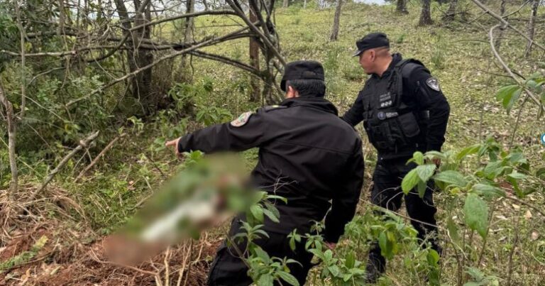 Hallan el cuerpo de una mujer en Bernardo de Irigoyen y analizan si el crimen ocurrió en Brasil imagen-13