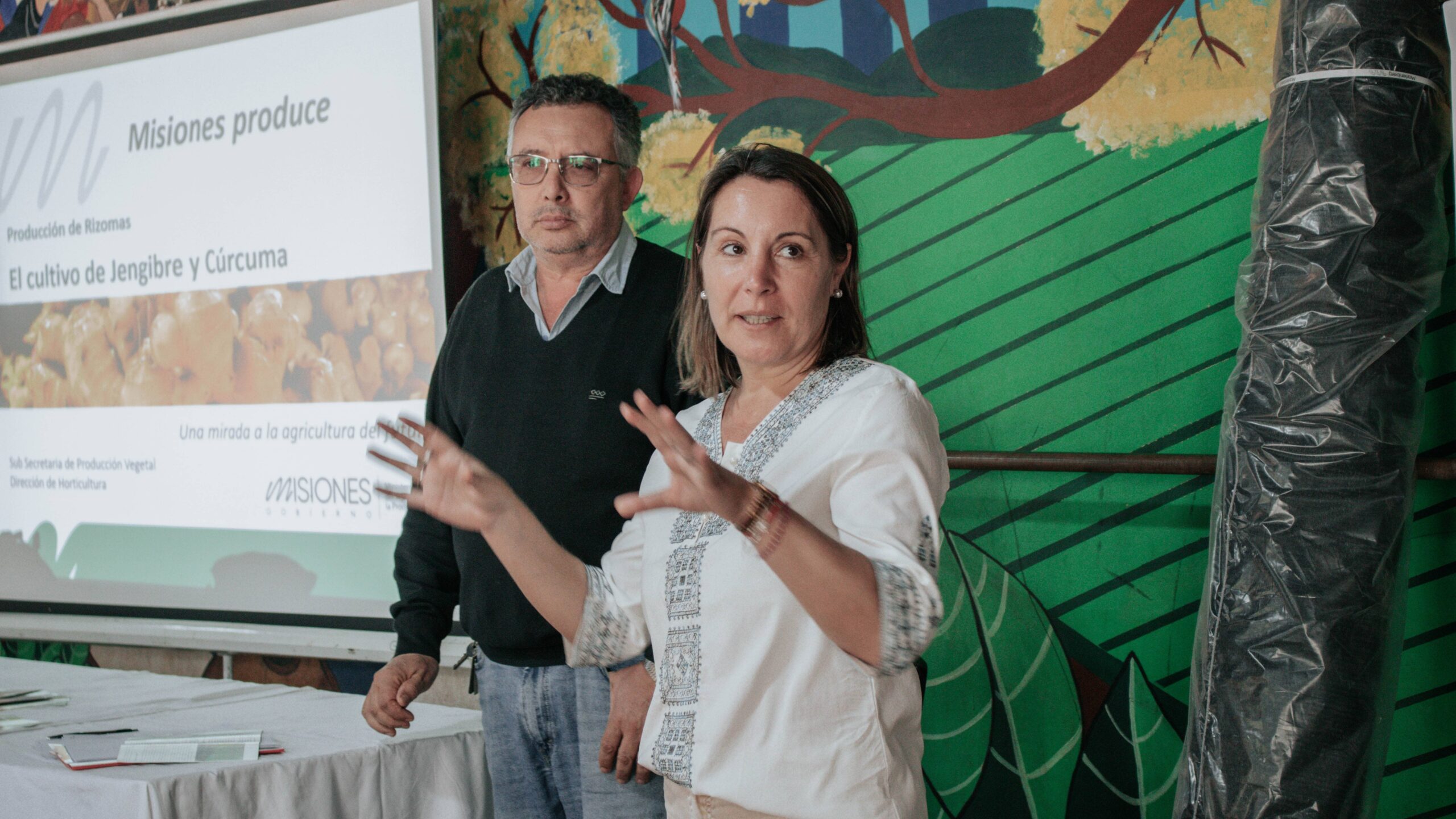 Impulsan producción de jengibre y cúrcuma con una línea de financiamiento específica imagen-2