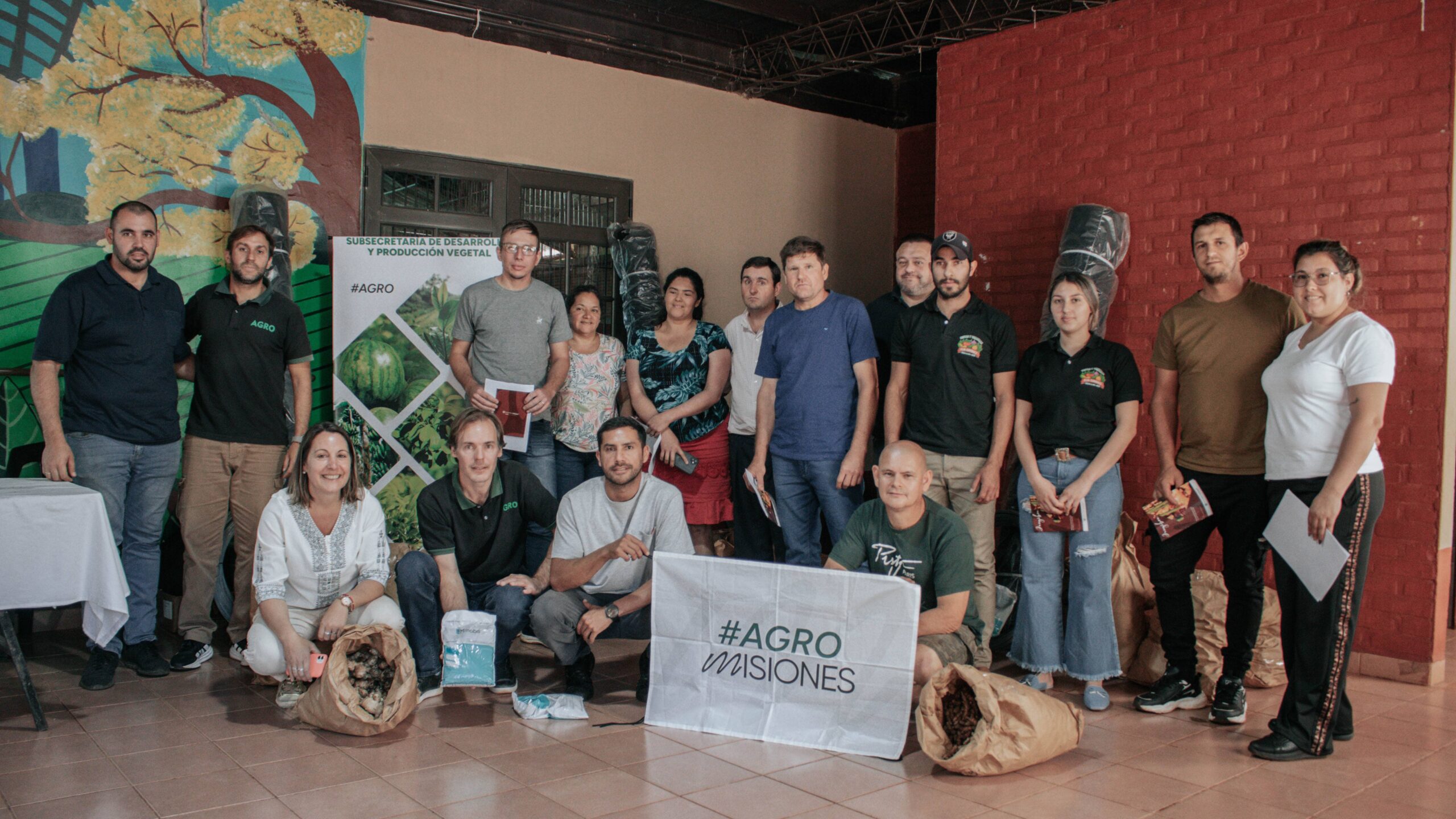 Impulsan producción de jengibre y cúrcuma con una línea de financiamiento específica imagen-4