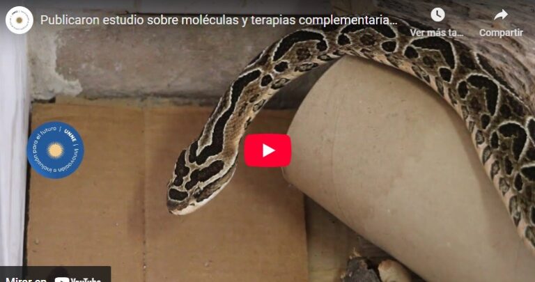 Identifican el potencial de moléculas pequeñas para inhibir la actividad proteolítica y hemorrágica del veneno de yarará Identifican el potencial de moléculas pequeñas para inhibir la actividad proteolítica y hemorrágica del veneno de yarará imagen-47