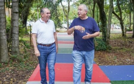 Ranking: Passalacqua y Stelatto, entre los mandatarios mejores valorados, según Consultora imagen-10