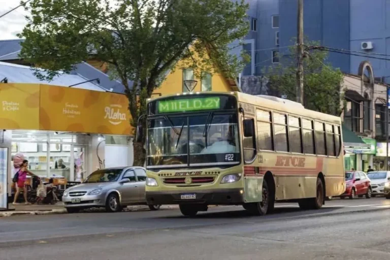 La ETCE responsabiliza a la Municipalidad de Eldorado por la crisis del transporte urbano imagen-1