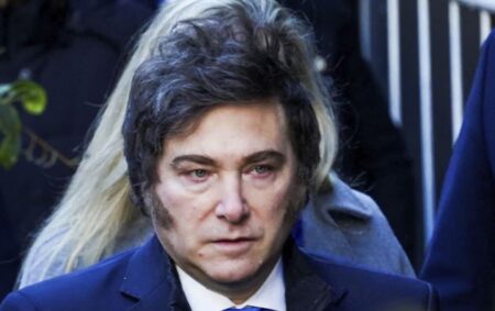 El Gobierno nacional evalúa distintas alternativas para evitar promulgar la ley de Emergencia en Discapacidad imagen-7