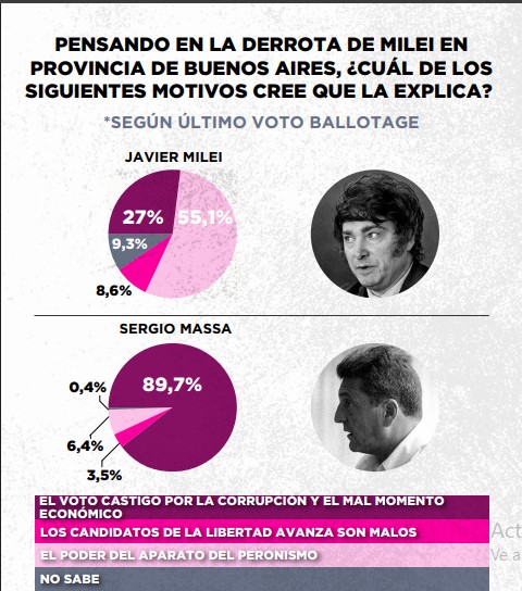 Encuesta: un 61,6% desaprueba el gobierno de Milei imagen-18