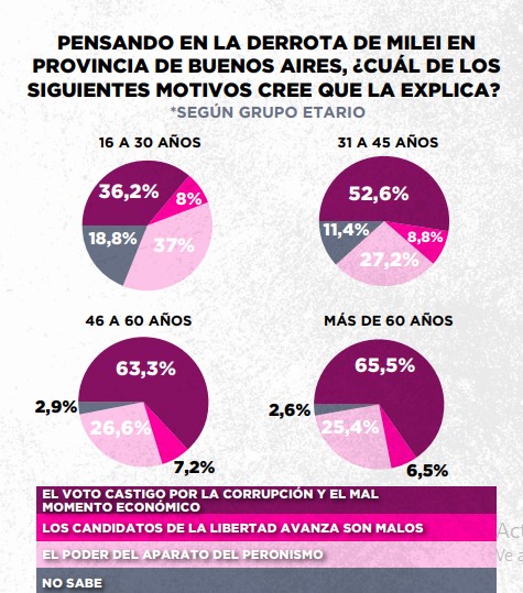 Encuesta: un 61,6% desaprueba el gobierno de Milei imagen-16