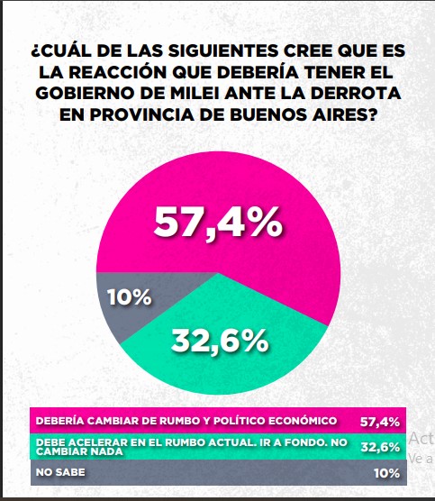 Encuesta: un 61,6% desaprueba el gobierno de Milei imagen-22