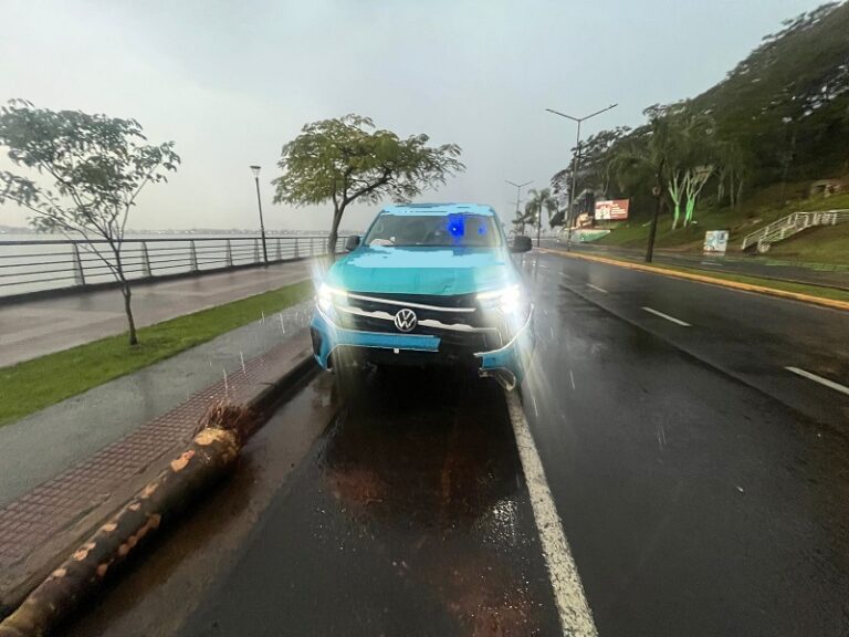 Camioneta despistó y luego impactó contra una palmera de la Costanera posadeña imagen-39