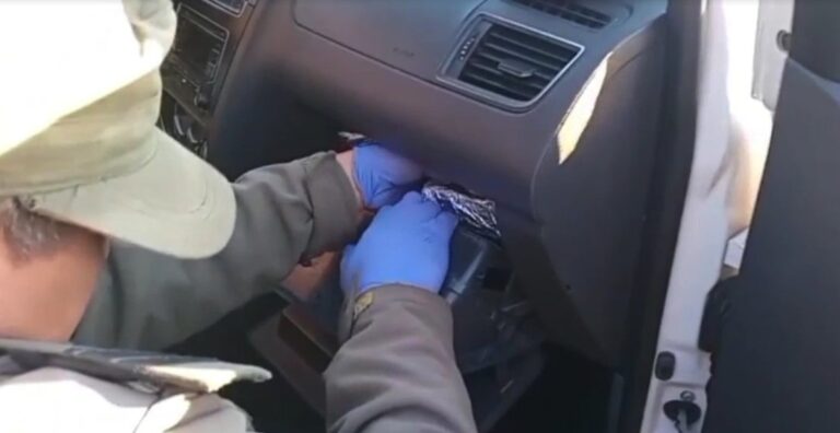 Iban de Misiones a Buenos Aires con cinco kilos de cocaína ocultos en la guantera del auto, los detuvieron en Corrientes Iban de Misiones a Buenos Aires con cinco kilos de cocaína ocultos en la guantera del auto, los detuvieron en Corrientes imagen-17