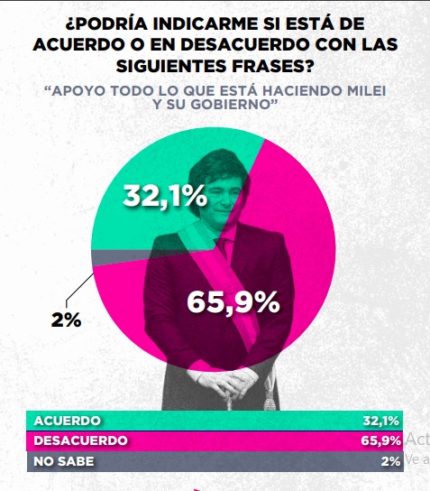 Encuesta: un 61,6% desaprueba el gobierno de Milei imagen-30