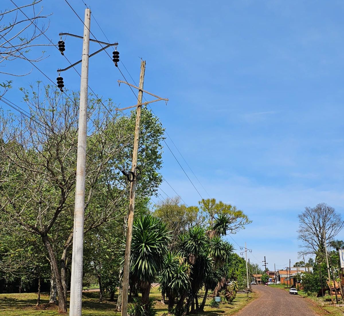 Energía de Misiones realizó mejoras en la línea troncal de la red eléctrica de Puerto Esperanza imagen-12