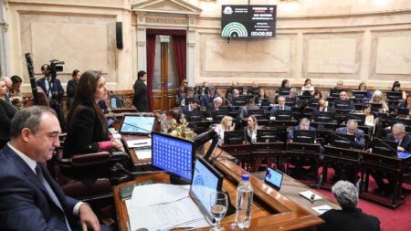 Rechazo del Senado al veto de los ATN imagen-3