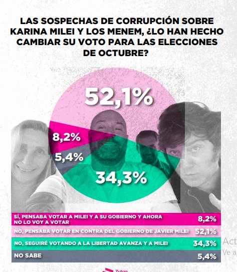 Encuesta: un 61,6% desaprueba el gobierno de Milei imagen-12
