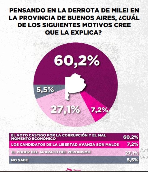 Encuesta: un 61,6% desaprueba el gobierno de Milei imagen-14