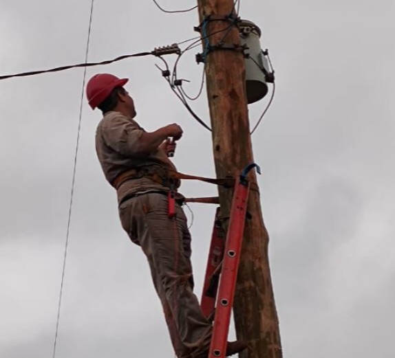 Energía de Misiones realizó trabajos de mantenimiento y mejoras en varias localidades de la provincia 13 Energía de Misiones realizó trabajos de mantenimiento y mejoras en varias localidades de la provincia imagen-12