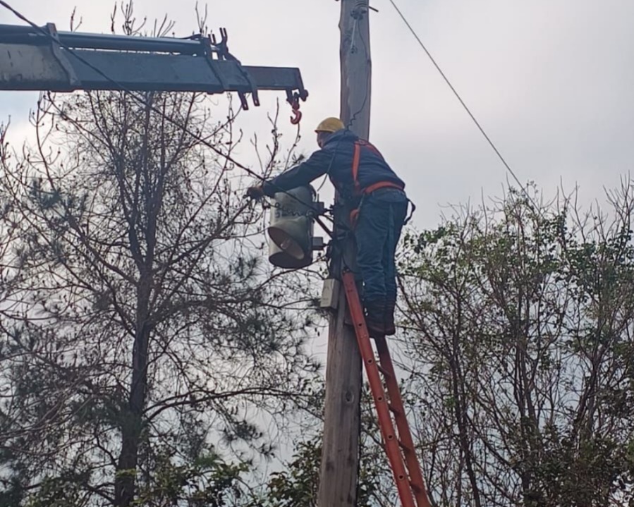 Energía de Misiones realizó trabajos de mantenimiento y mejoras en varias localidades de la provincia 17 Energía de Misiones realizó trabajos de mantenimiento y mejoras en varias localidades de la provincia imagen-16