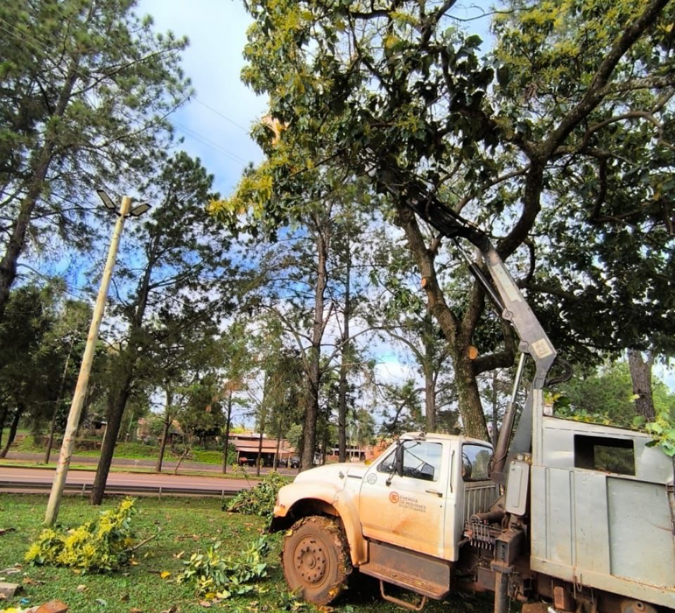 Energía de Misiones realizó trabajos de mantenimiento y mejoras en varias localidades de la provincia 7 Energía de Misiones realizó trabajos de mantenimiento y mejoras en varias localidades de la provincia imagen-6