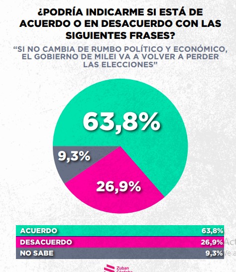 Encuesta: un 61,6% desaprueba el gobierno de Milei imagen-26