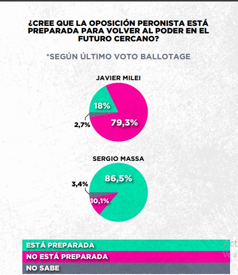 Encuesta: un 61,6% desaprueba el gobierno de Milei imagen-60