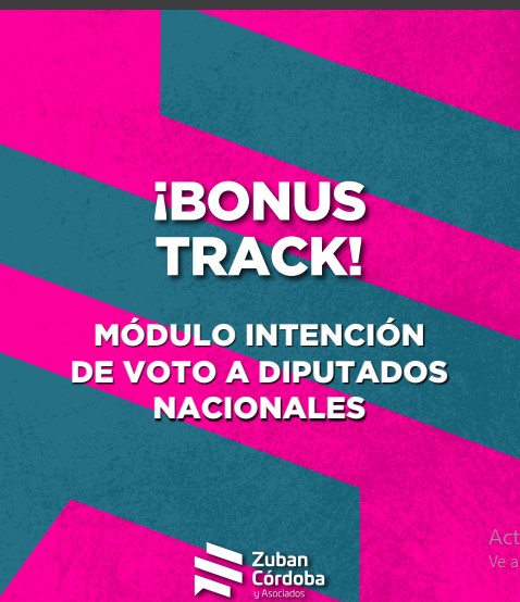 Encuesta: un 61,6% desaprueba el gobierno de Milei imagen-64