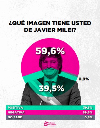 Encuesta: un 61,6% desaprueba el gobierno de Milei imagen-6