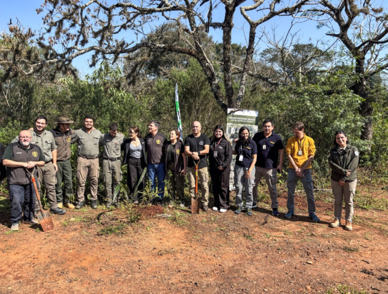 Presentaron el Plan de Restauración del Parque Nacional Iguazú Presentaron el Plan de Restauración del Parque Nacional Iguazú imagen-16