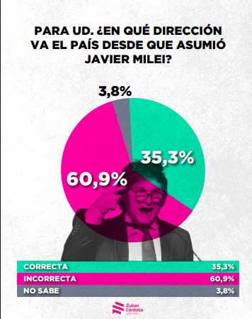 Encuesta: un 61,6% desaprueba el gobierno de Milei imagen-2