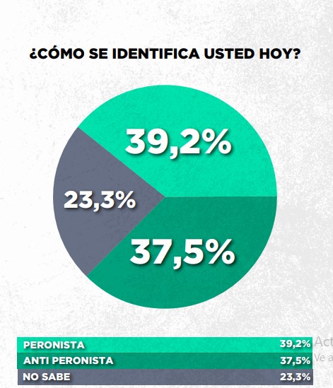 Encuesta: un 61,6% desaprueba el gobierno de Milei imagen-40