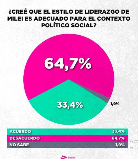 Encuesta: un 61,6% desaprueba el gobierno de Milei imagen-48