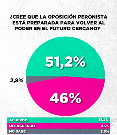 Encuesta: un 61,6% desaprueba el gobierno de Milei imagen-58