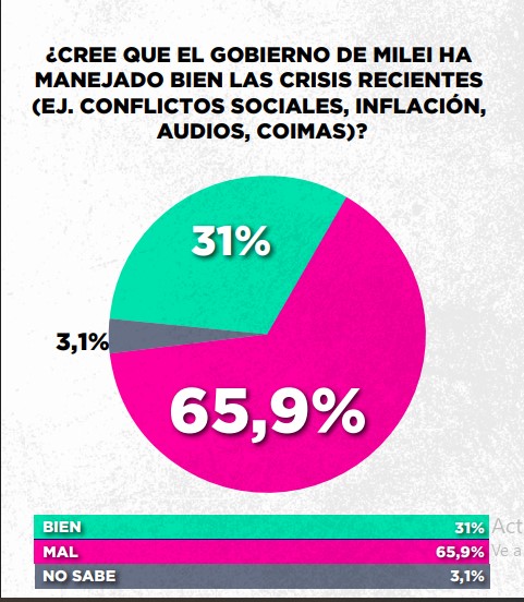 Encuesta: un 61,6% desaprueba el gobierno de Milei imagen-56