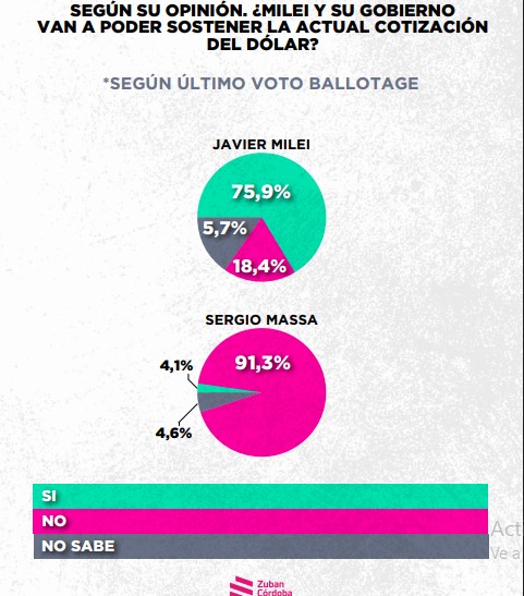 Encuesta: un 61,6% desaprueba el gobierno de Milei imagen-54