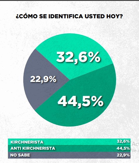 Encuesta: un 61,6% desaprueba el gobierno de Milei imagen-42