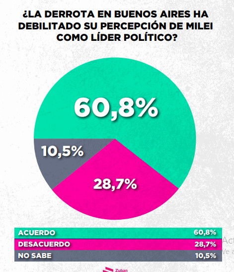 Encuesta: un 61,6% desaprueba el gobierno de Milei imagen-50