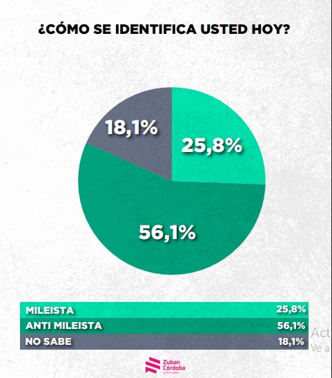 Encuesta: un 61,6% desaprueba el gobierno de Milei imagen-44