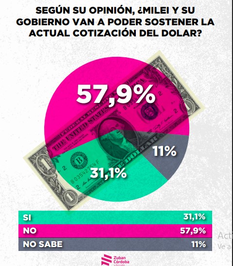 Encuesta: un 61,6% desaprueba el gobierno de Milei imagen-52